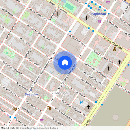 1415 Rue Plessis, Montréal (Ville-Marie), QC H2L