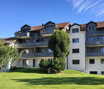 2 Zimmer, EG - Photo 6