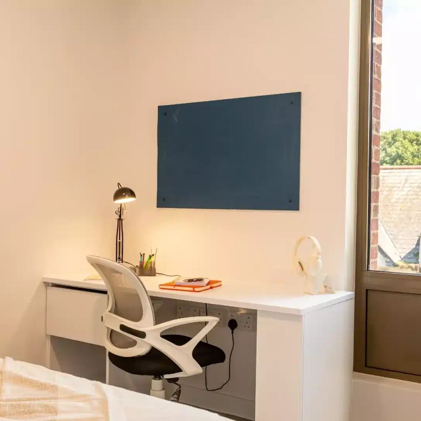Luxury Studio - Photo 1