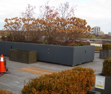 For Lease - 835 St. Clair Avenue Unit# 402, Toronto, Ontario - Photo 4