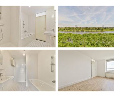 Hermelijnvlinder 95, Vlindertuin, 1113LC, Diemen - Photo 1