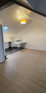 Location Appartement 1 pièce 30m² NANTES 44000 - Photo 4