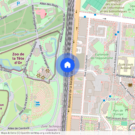 Tête d'Or-Foch-Vitton