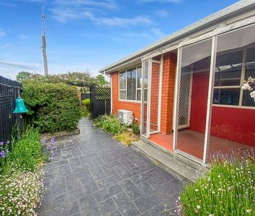 135 Hawford Road, Opawa, NZ 8023 - Photo 5