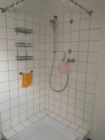 Rooftop apartment for rent right next to the Beyeler Museum - Photo 2