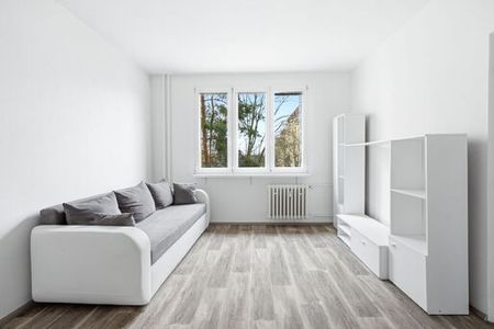 Pronájem bytu 1+1 - Fotografie 2