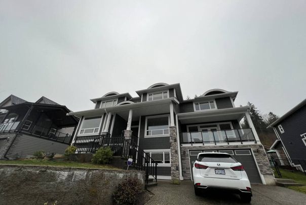 25482 Godwin Drive, Maple Ridge (Basement) - Photo 1