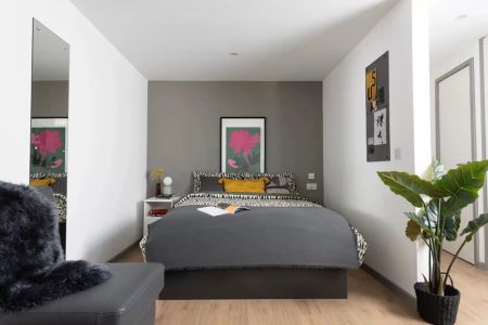 Large Standard Double Studio - Photo 5