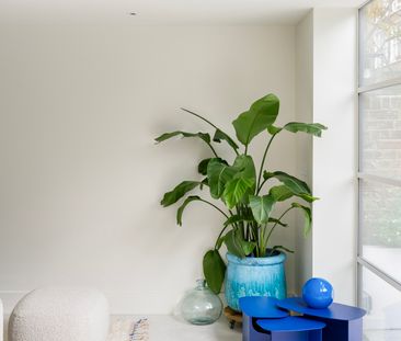 Colville Road - Photo 4