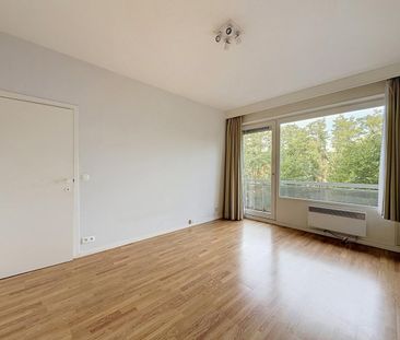 Brugmann / Walzin Park: Beautiful 4-bedroom apartment - Foto 2