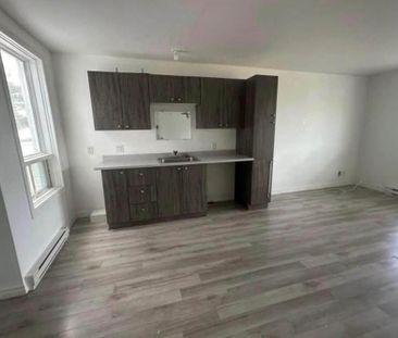 Logement rénové Shawinigan - Photo 2