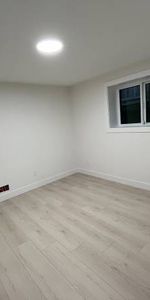 Brand New Spacious and bright 1 bedroom, 1-bathroom ground-level suite - Photo 3