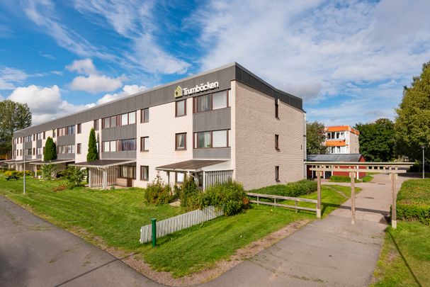 Plogstigen, Borlänge - Foto 1