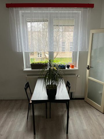 Pronájem bytu 2+1 50 m² - Fotografie 3