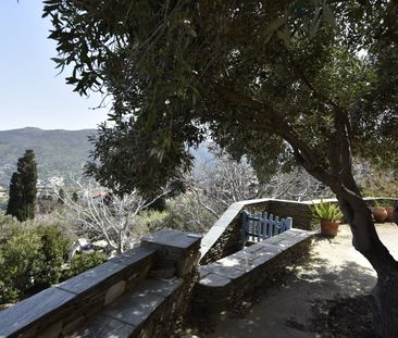 Διαμέρισμα για ενοικίαση Χώρα (Άνδρος) - Photo 6