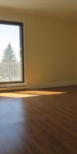 ROSEMONT - GRAND 4 1/2 en face de l'Hôpital Santa Cabrini - Photo 4