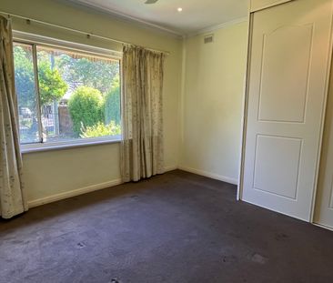 30 Young St, Burnside SA 5066 - House For Rent | Domain - Photo 4