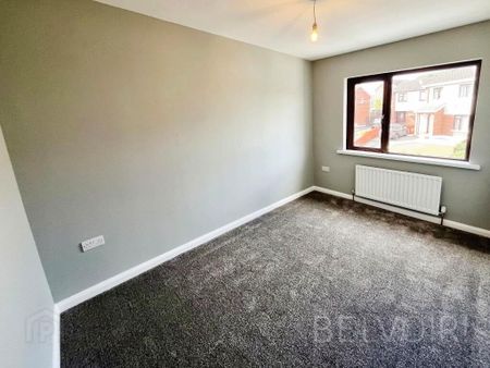 32 Brookvale Rise, Lisburn, BT28 1DE - Photo 4