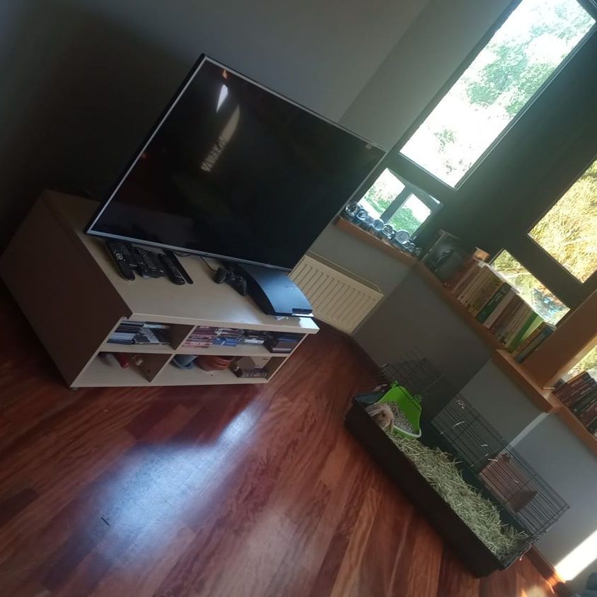 Alquiler de piso en Calle Juan Belmonte, 7 - Foto 1