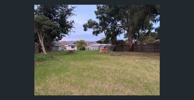Original weatherboard home with polished wood floors and a massive back yard!! - Photo 1