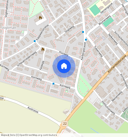 Flurweg **, 3250 Lyss