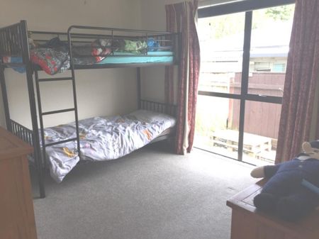 2 Bedroom Home beside the Maitai - Photo 3