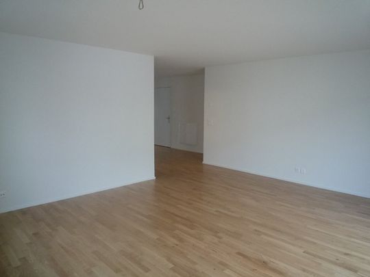 4 ½ Zimmer-Wohnung in Winterthur mieten - Foto 1