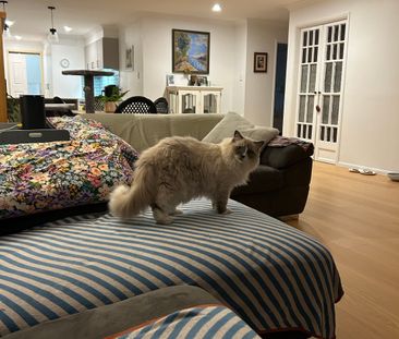 Pacific Pines - Photo 2