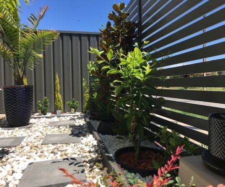 14A Elizabeth Street - Photo 3