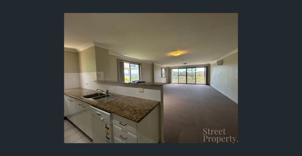 Resort style pool just in time for summer! - Photo 1