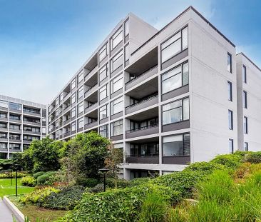 Split-level contemporary extravagance - Photo 2