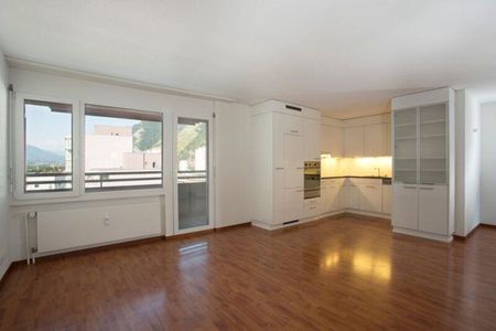 In der Abendsonne - Foto 4