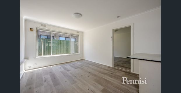 FOR LEASE BY PENNISI - Photo 1