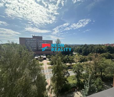Pronájem bytu 1+1 40 m2 - Fotografie 1