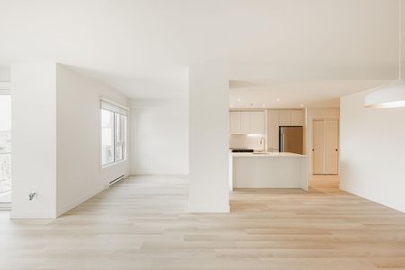 Monarc Collection - Photo 4