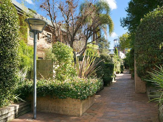 15/453-465 Bourke Street, Surry Hills NSW 2010 - Townhouse For Rent | Domain - Photo 1