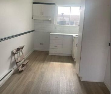 1 CH - 1 SDB - Saint-Césaire - $1,300 /mo - Photo 4