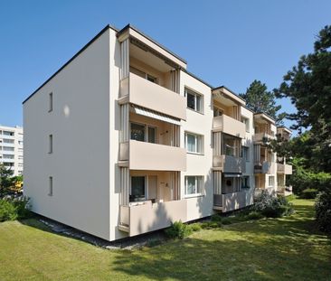 "Schöne Wohnung in ruhigem Quartier zu vermieten!" - Photo 2