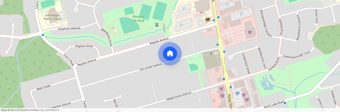 36 Elm Grove Avenue, Richmond Hill