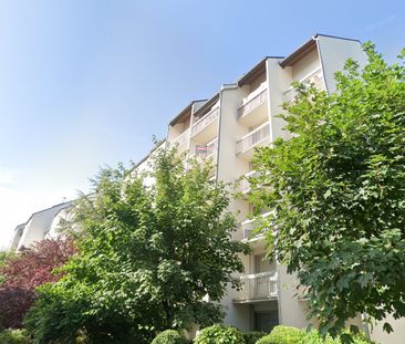 Location Appartement 2 pièces 53m² - Photo 4