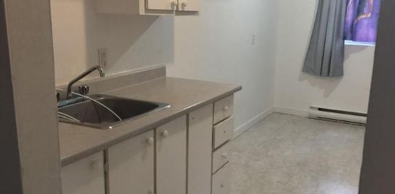 2 CH - 1 SDB - Longueuil - $1,250 /mo - Photo 2