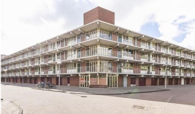 Amerbos 0ong, 1025 Amsterdam, Nederland - Photo 1