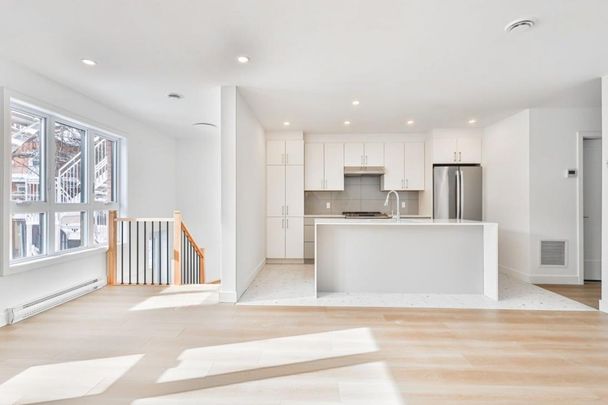 10762 Av. De Lorimier, H2B 2J5, H2B 2J5, Montréal - Photo 1