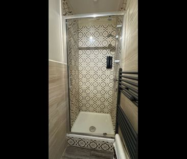 Studio Flat, Horn Lane, W3 - Photo 4