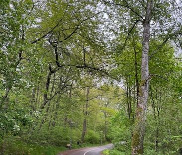Högsätravägen, Lidingö - Photo 5