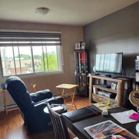 3 1/2 À LAVAL TRÈS TRANQUILLE AVEC ASCENSEUR! - Photo 3