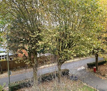 Appartement 2 pièces 52 m2 à louer 92310 Sèvres - Photo 3