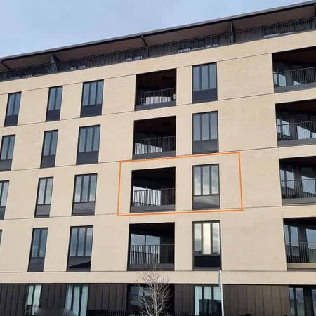 Hobsonville, 1 bedroom, $530 - Photo 4