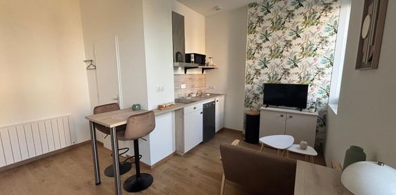 Location Appartement 1 pièce 20m² CLERMONT FERRAND 63000 - Photo 2
