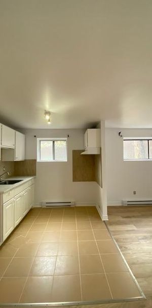 Magnifique appartement 3 1/2 demi-sous-sol complètement rénové, triplex - Photo 1